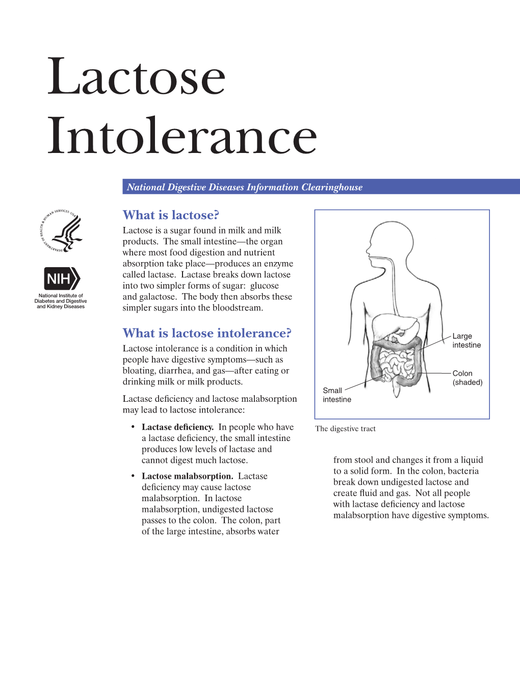 Lactose Intolerance