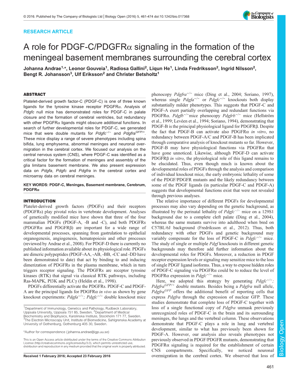 A Role for PDGF-C/Pdgfrα Signaling in the Formation of the Meningeal