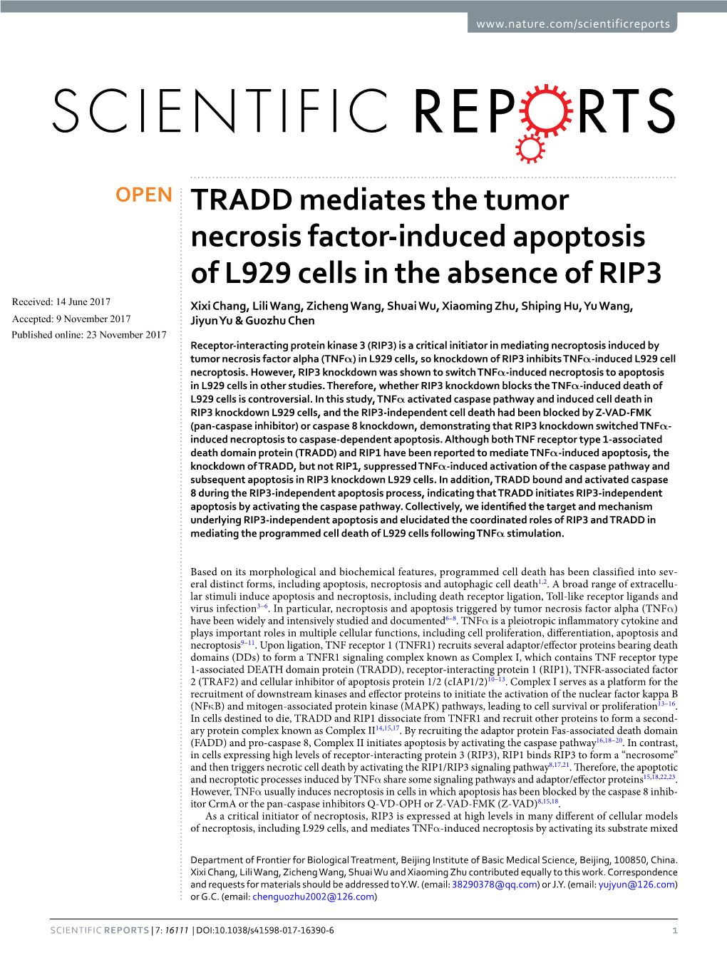 TRADD Mediates the Tumor Necrosis Factor-Induced Apoptosis of L929
