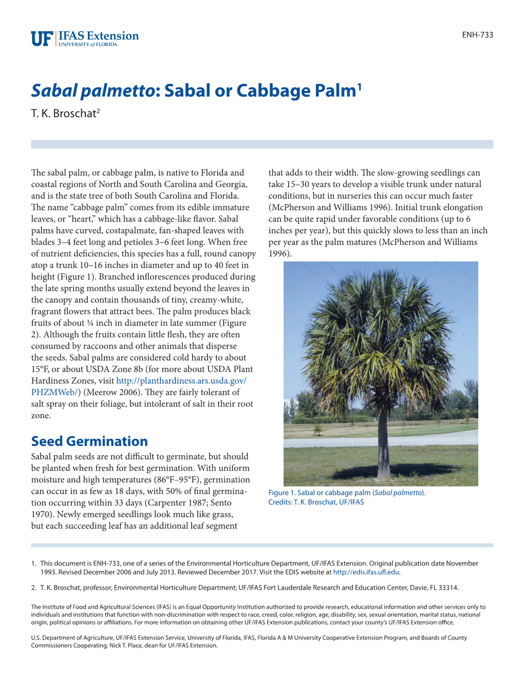 Cabbage Palm, Sabal Palmetto (Arecaceae).” Amer