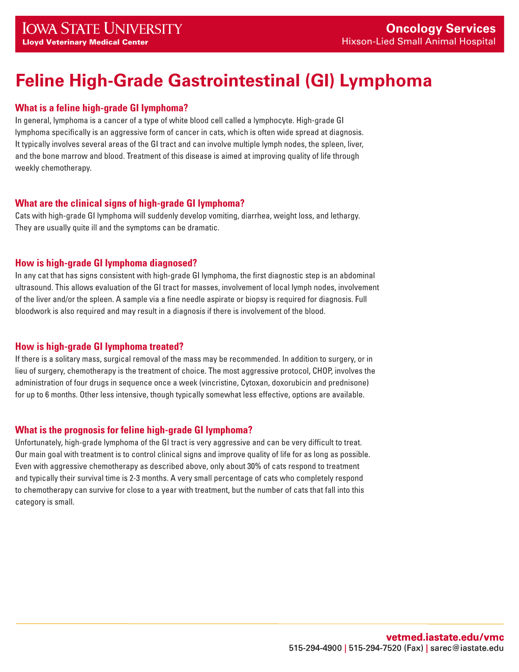 Feline High-Grade Gastrointestinal (GI) Lymphoma