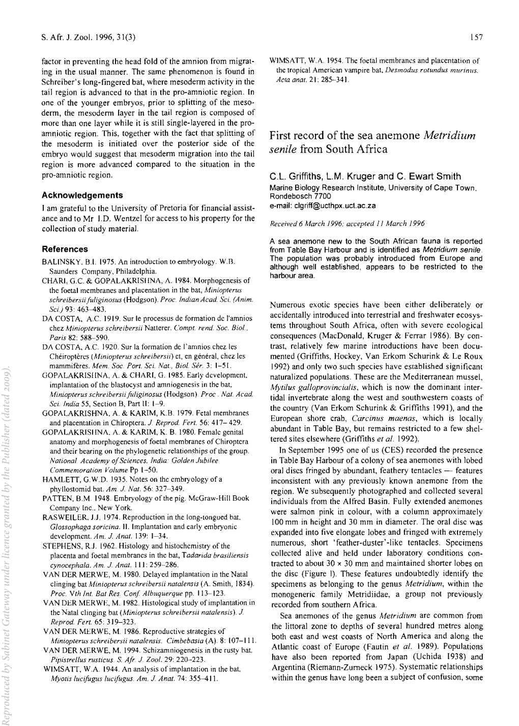 First Record of the Sea Anemone Metridium Senile from South Africa