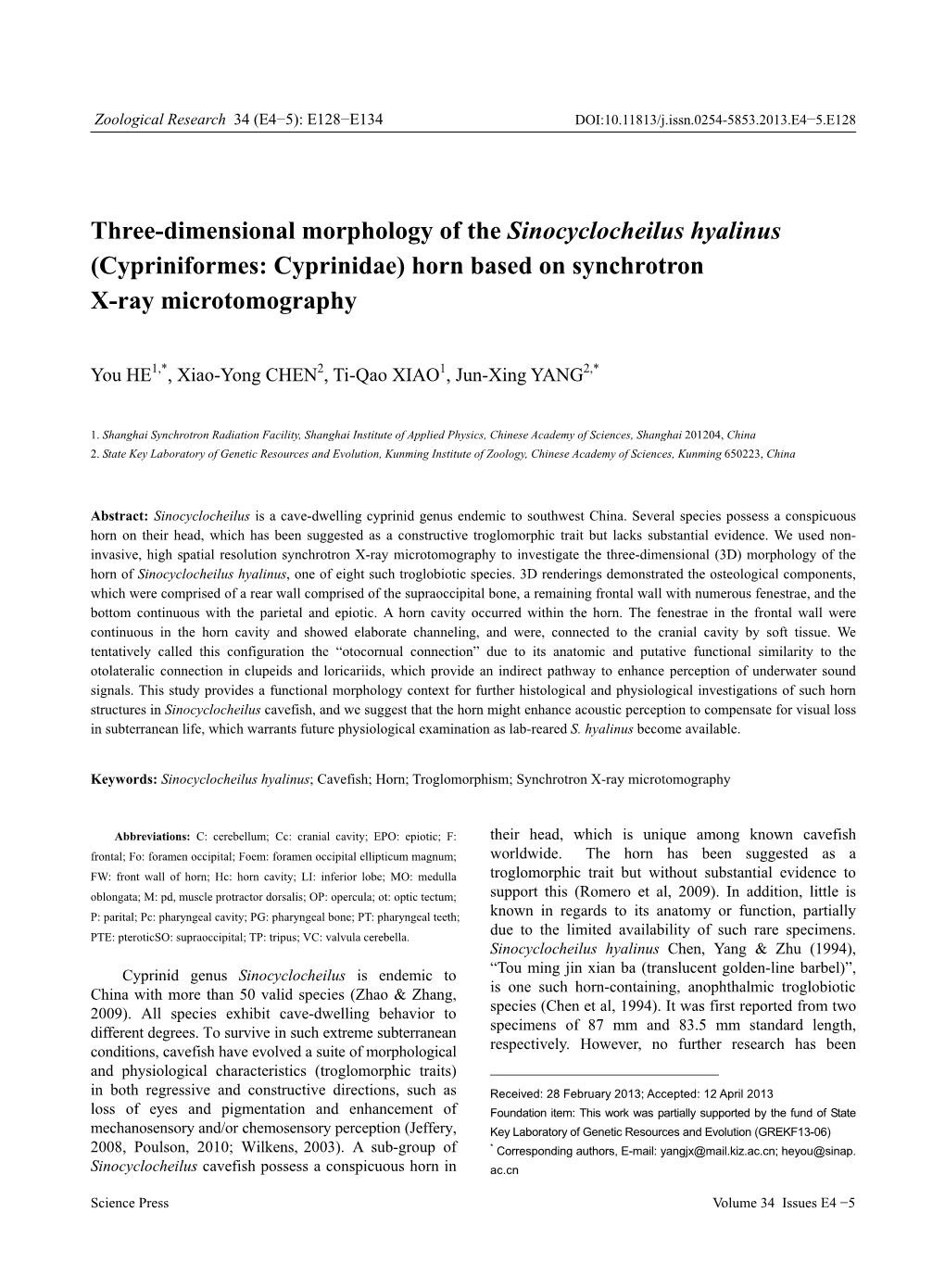 Three-Dimensional Morphology of the Sinocyclocheilus Hyalinus (Cypriniformes: Cyprinidae) Horn Based on Synchrotron X-Ray Microtomography