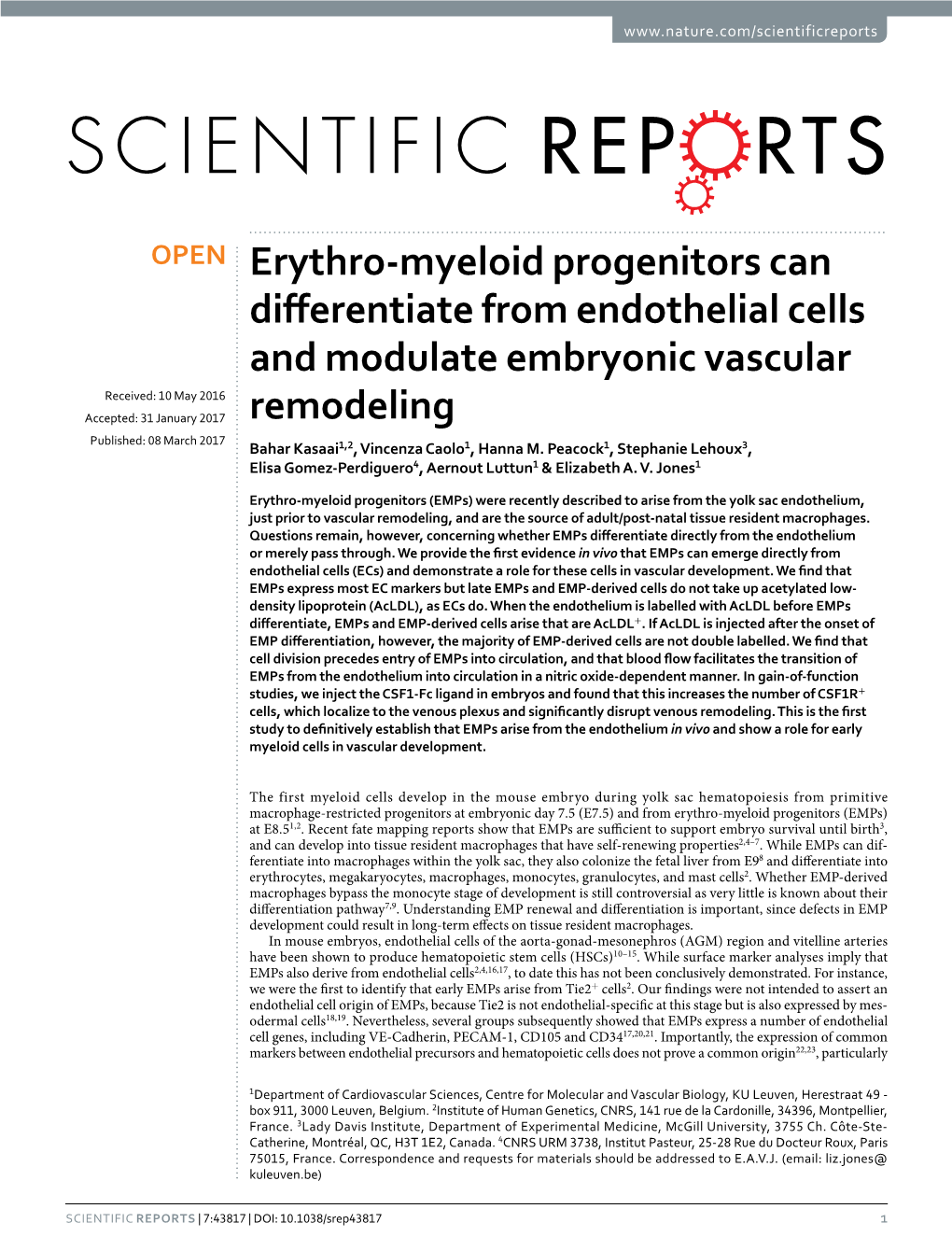 Erythro-Myeloid Progenitors Can Differentiate from Endothelial Cells