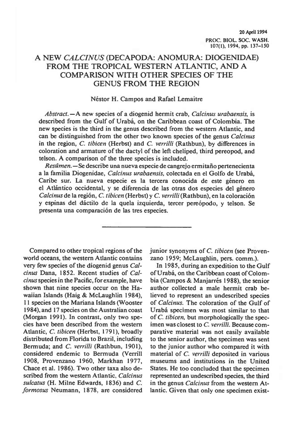 A New Calcinus (Decapoda: Anomura: Diogenidae) from the Tropical Western Atlantic, and a Comparison with Other Species of the Genus from the Region