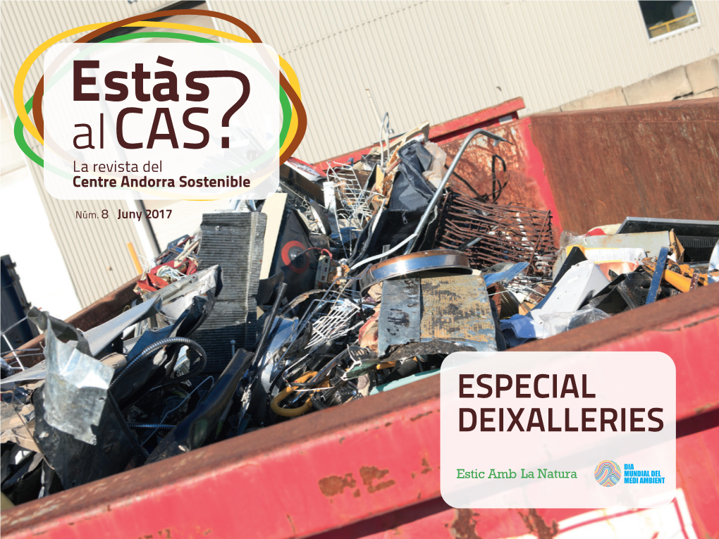 Especial Deixalleries