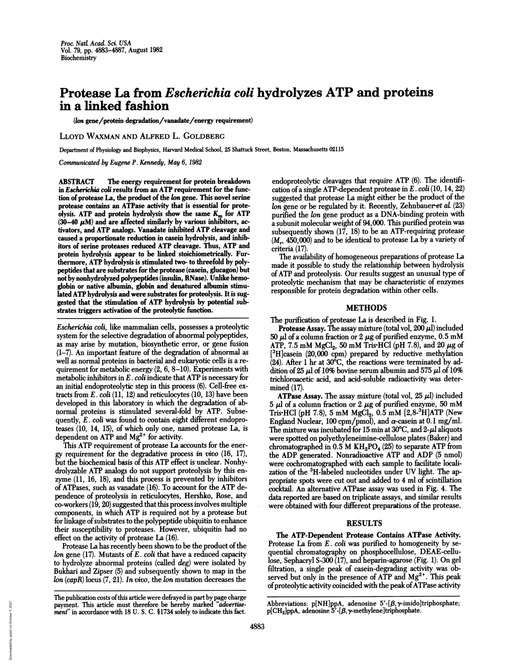 Protease La from Escherichia Coli Hydrolyzes ATP and Proteins in a Linked Fashion (Ion Gene/Protein Degradation/Vanadate/Energy Requirement) LLOYD WAXMAN and ALFRED L