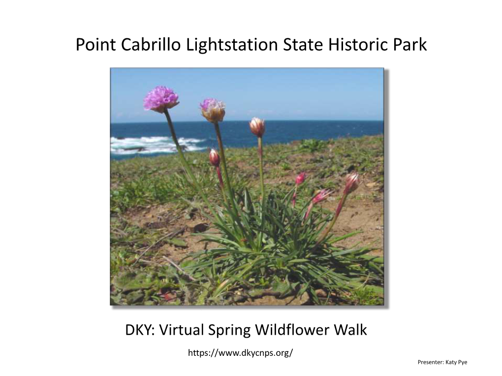 2021 Point Cabrillo Wildflowers