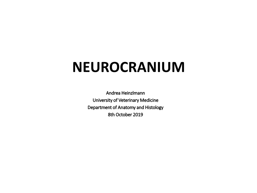 Neurocranium