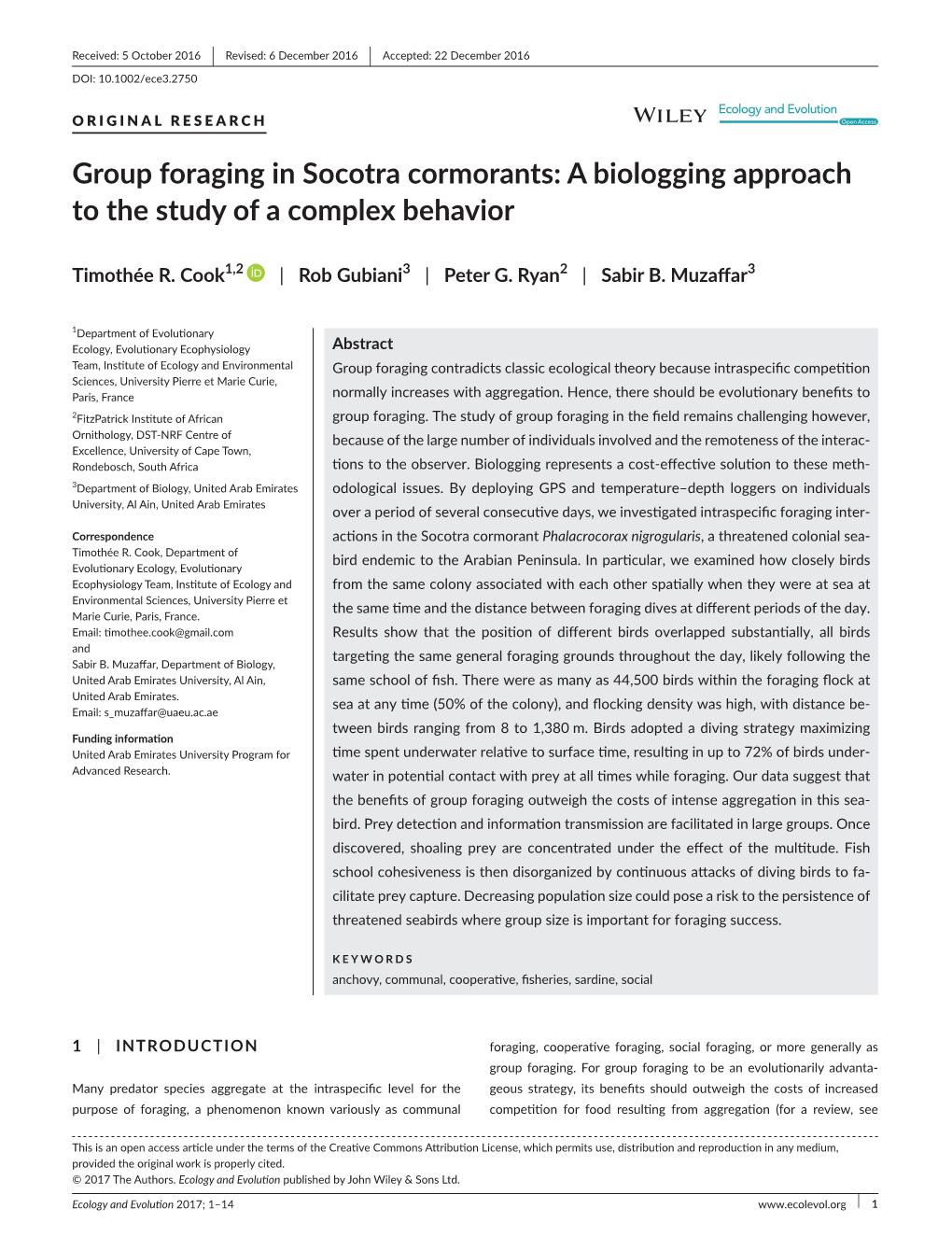 Group Foraging in Socotra Cormorants: a Biologging Approach to the Study of a Complex Behavior
