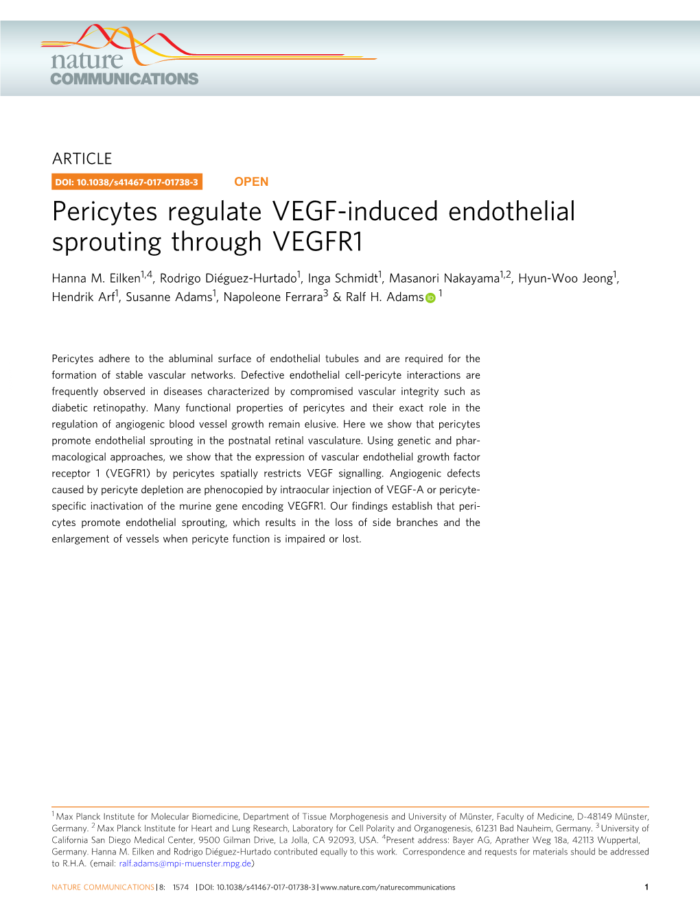 Pericytes Regulate VEGF-Induced Endothelial Sprouting Through VEGFR1