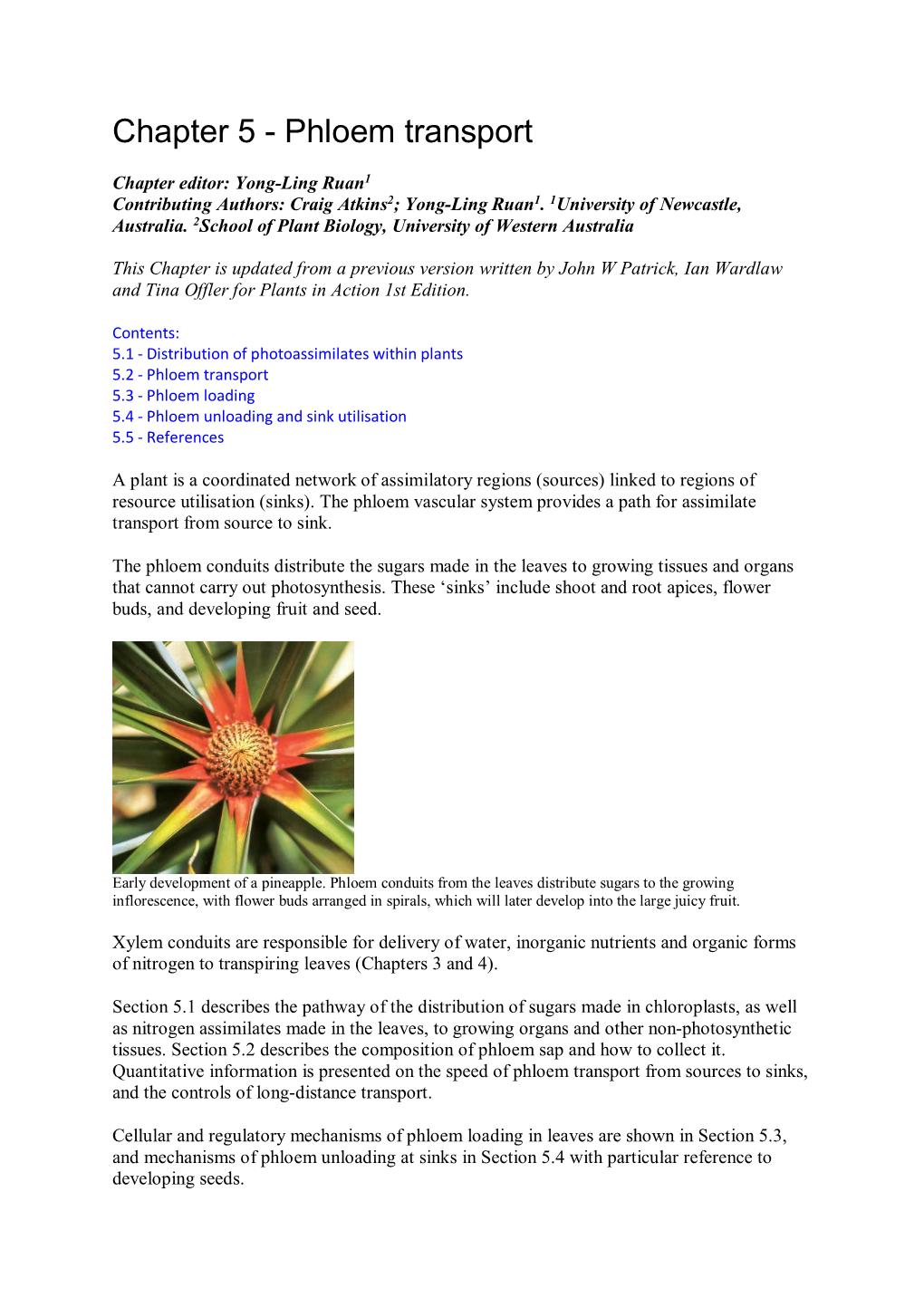 Chapter 5 - Phloem Transport