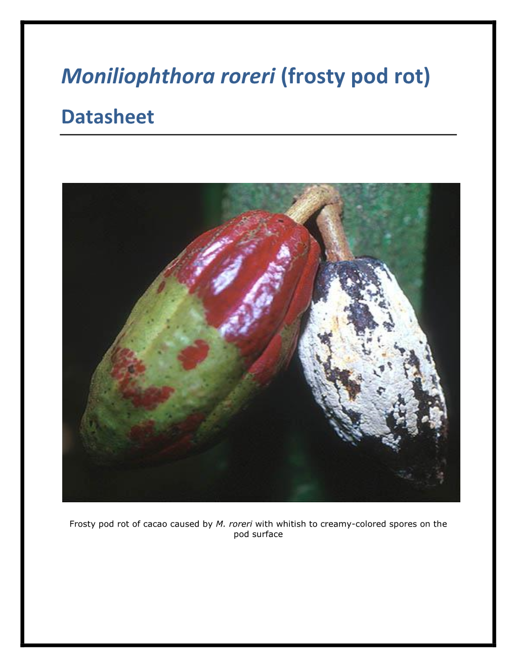 Moniliophthora Roreri (Frosty Pod Rot) Datasheet