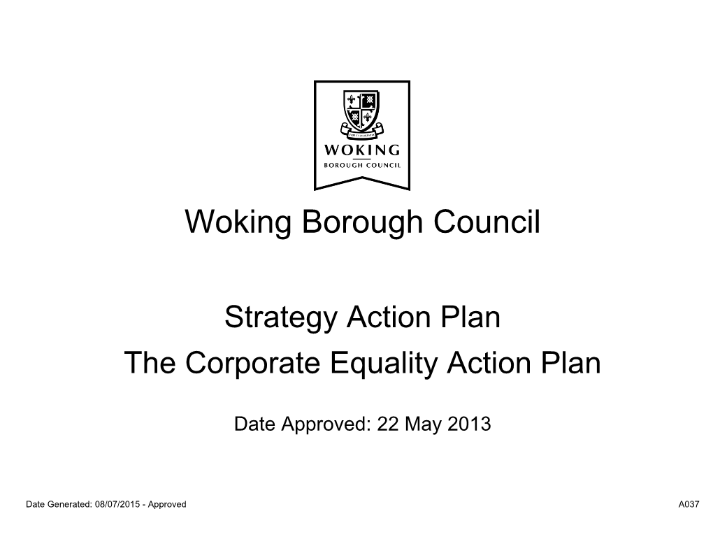 Corporate Equality Action Plan