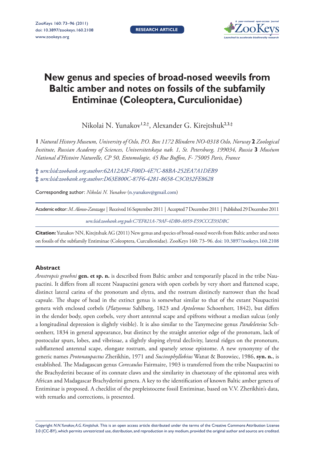 New Genus and Species of Broad-Nosed Weevils from Baltic Amber and Notes on Fossils of the Subfamily Entiminae (Coleoptera, Curculionidae)