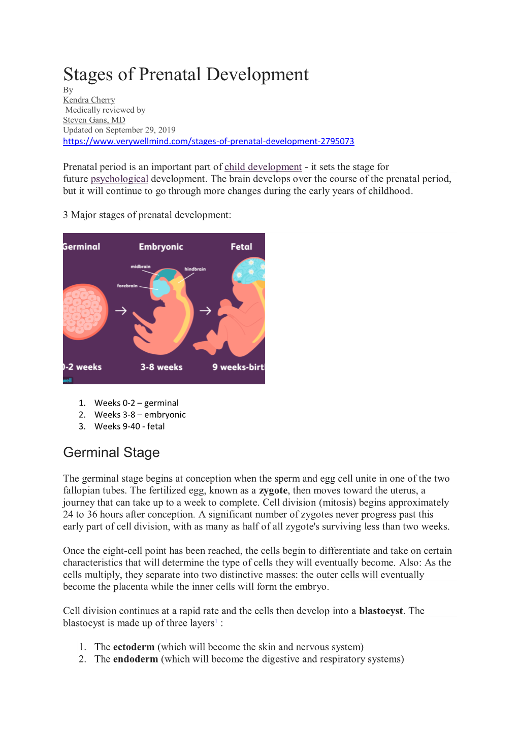 Stages of Prenatal Development