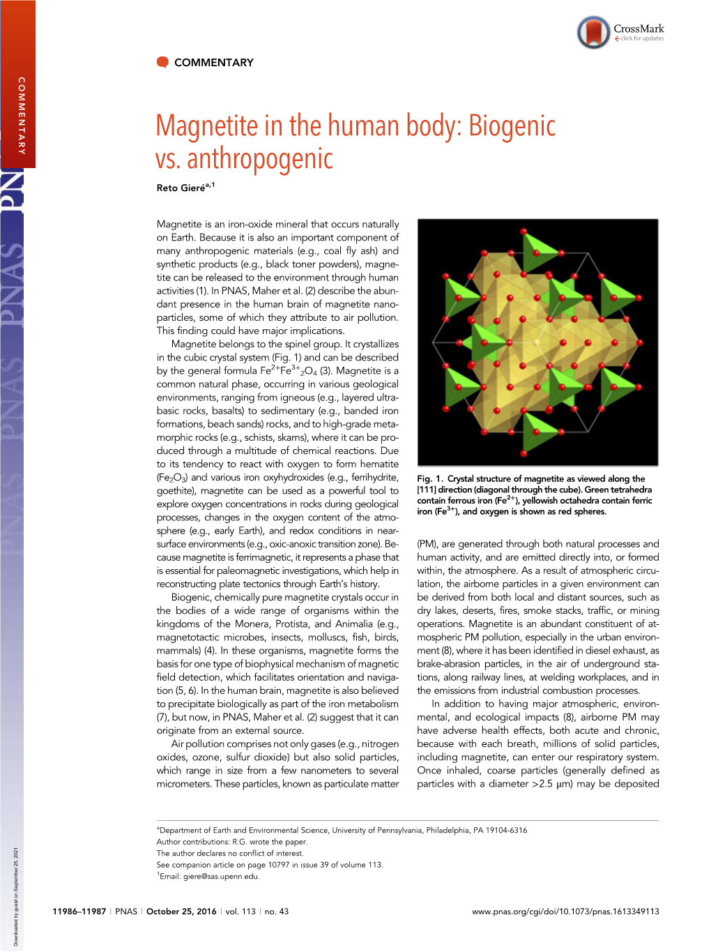 Magnetite in the Human Body: Biogenic Vs