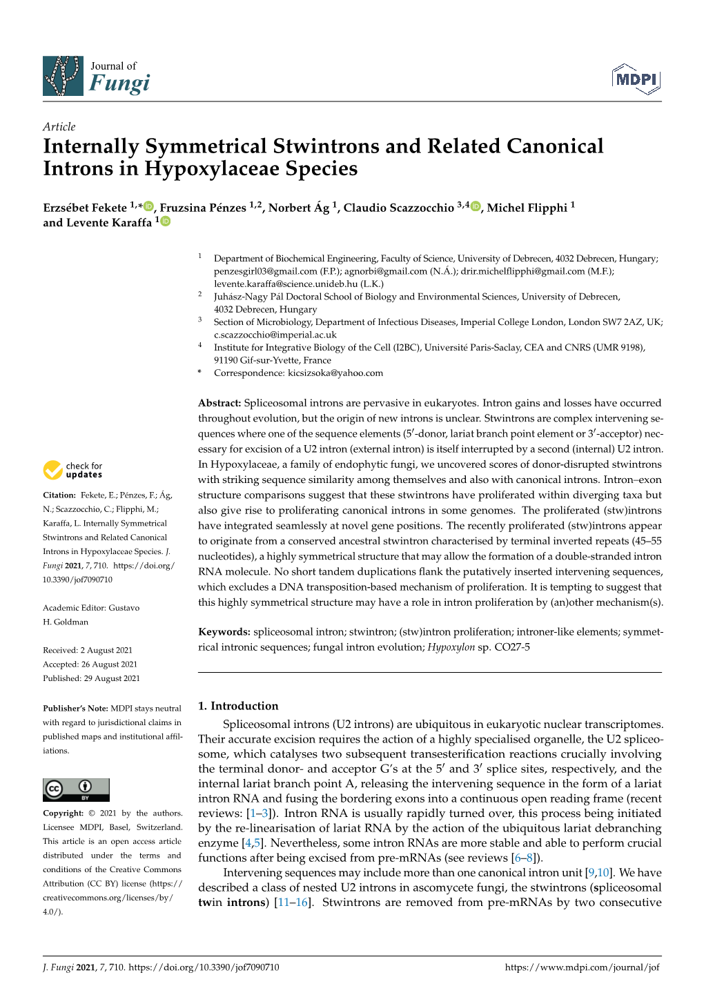 Internally Symmetrical Stwintrons and Related Canonical Introns in Hypoxylaceae Species