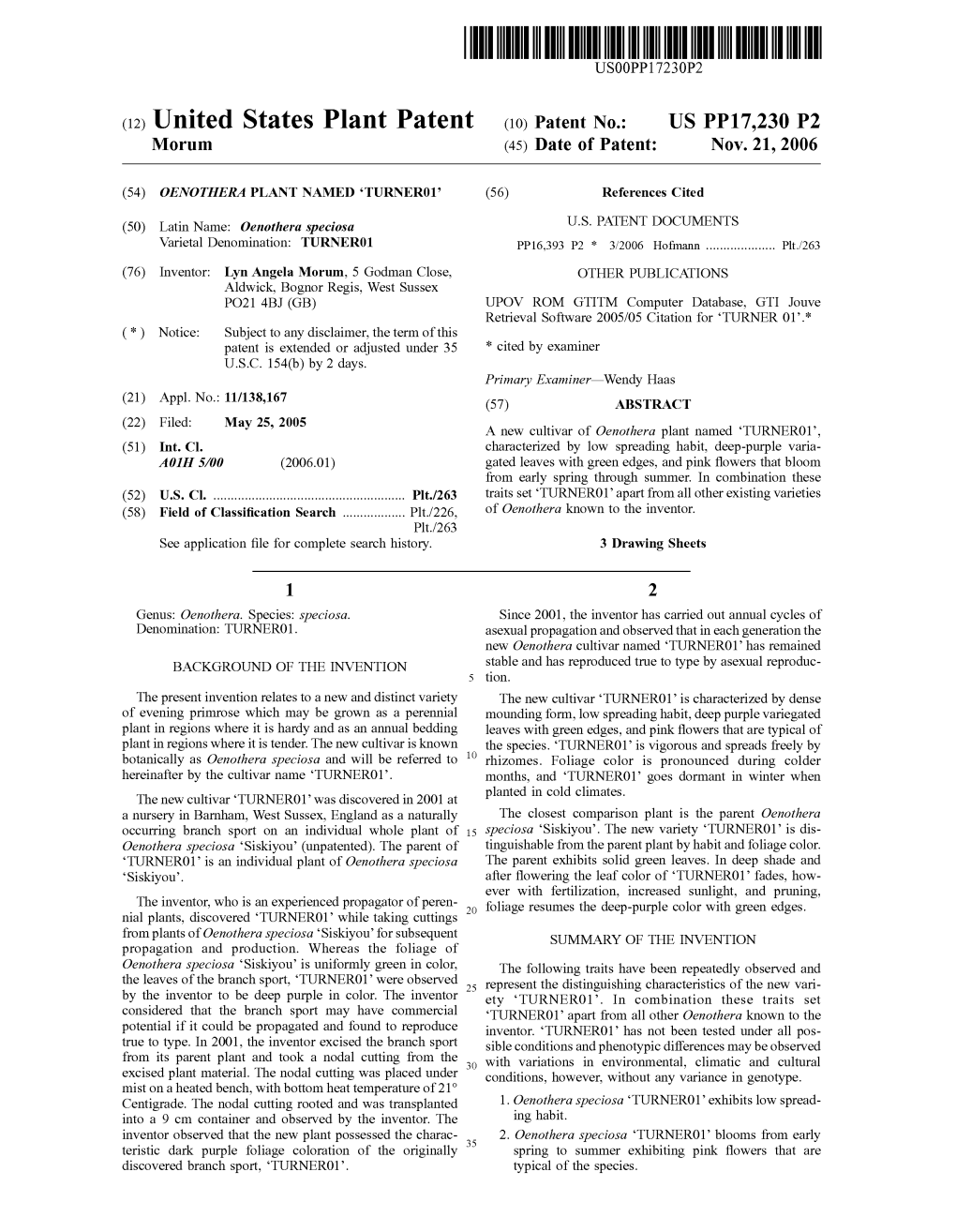 (12) United States Plant Patent (10) Patent No.: US PP17,230 P2 Morum (45) Date of Patent: Nov