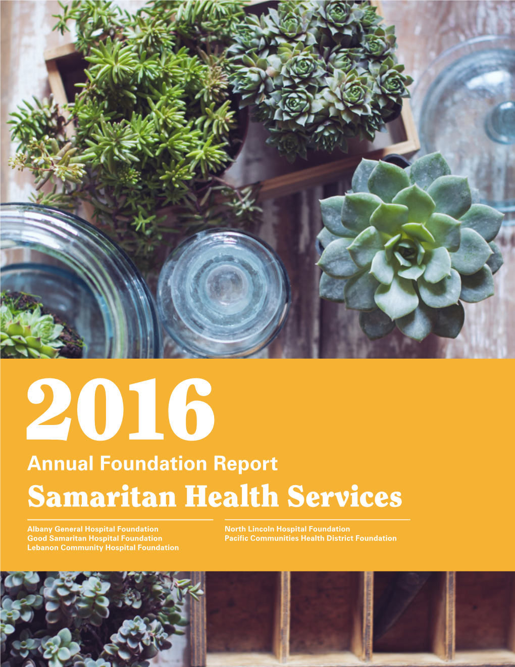 2016 Foundation Annual Report