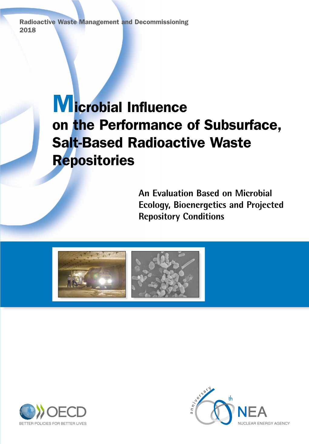 Microbial Influence on the Performance of Subsurface, Salt