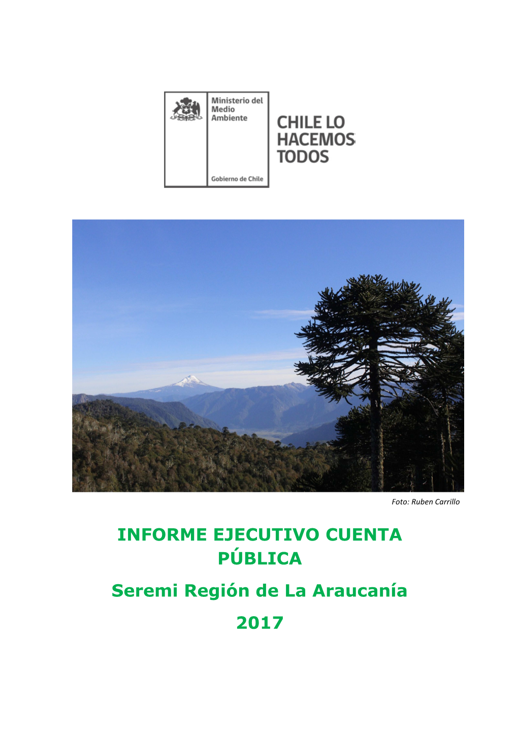 Informe Ejecutivo Región De La Araucanía