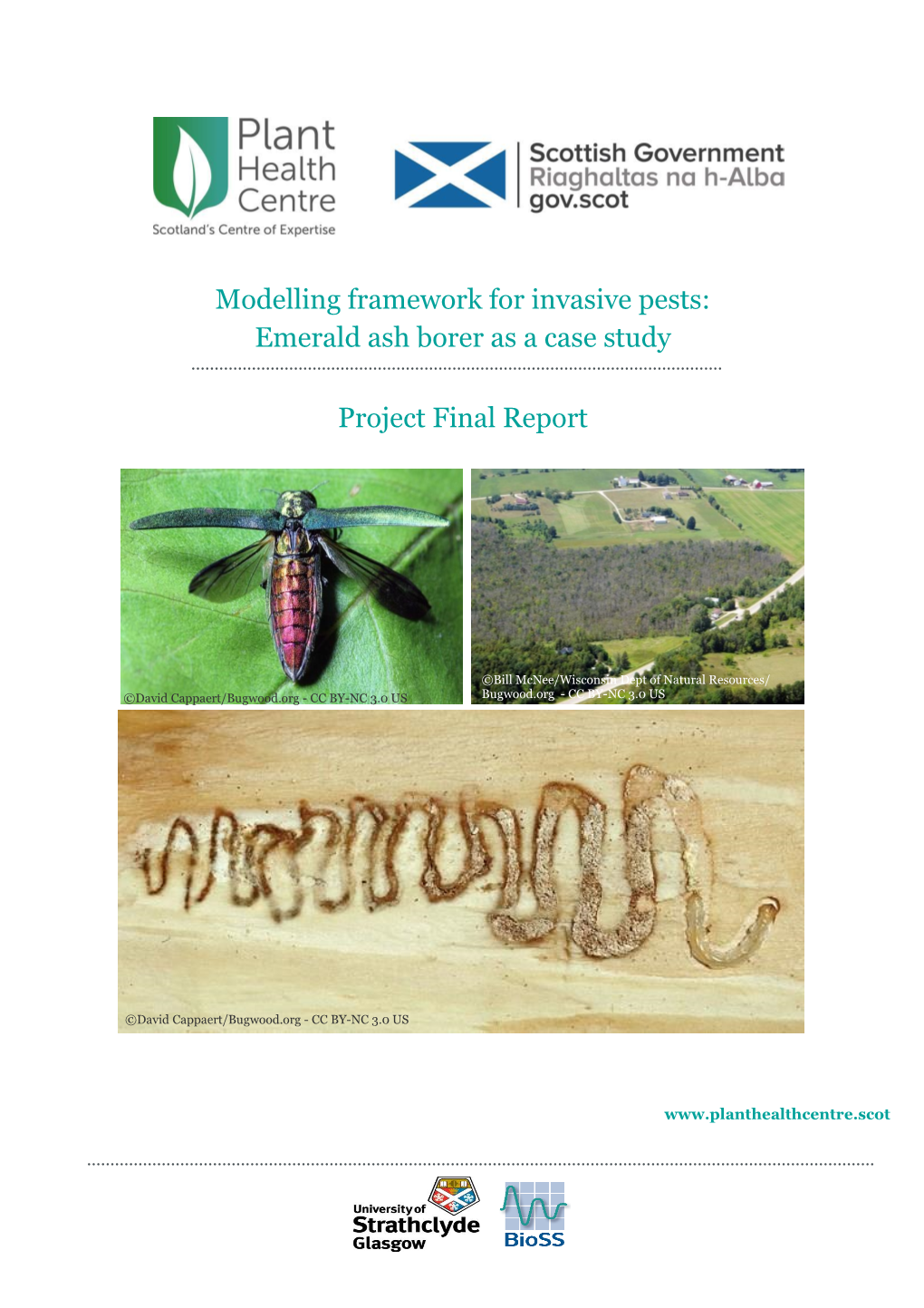 Modelling Framework for Invasive Pests: Emerald Ash Borer As a Case Study