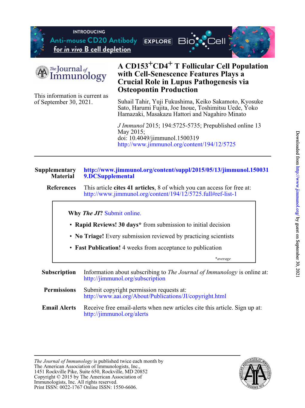 Osteopontin Production Crucial Role in Lupus Pathogenesis Via with Cell