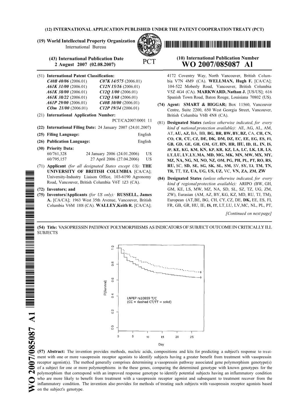 WO 2007/085087 Al