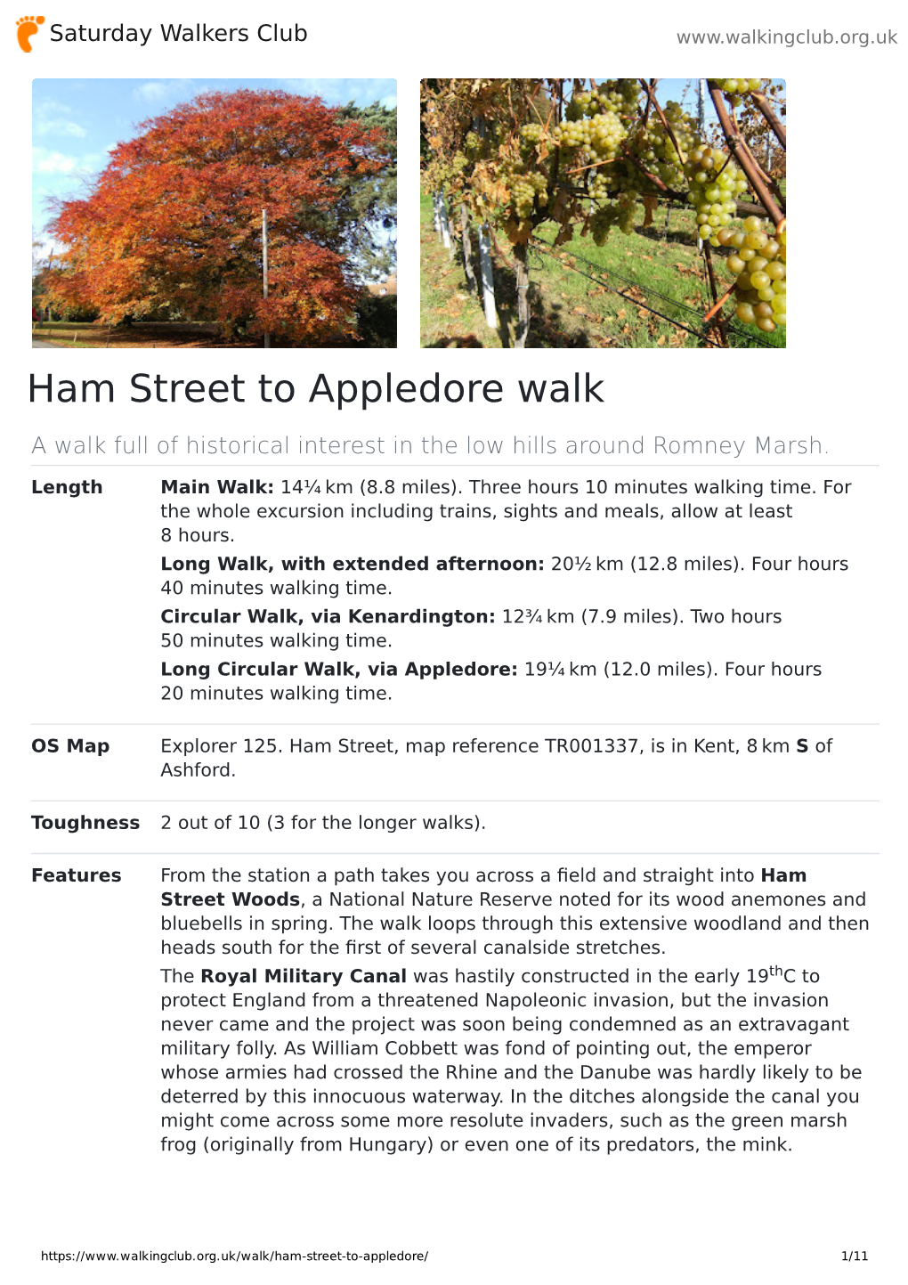 Ham Street to Appledore Walk