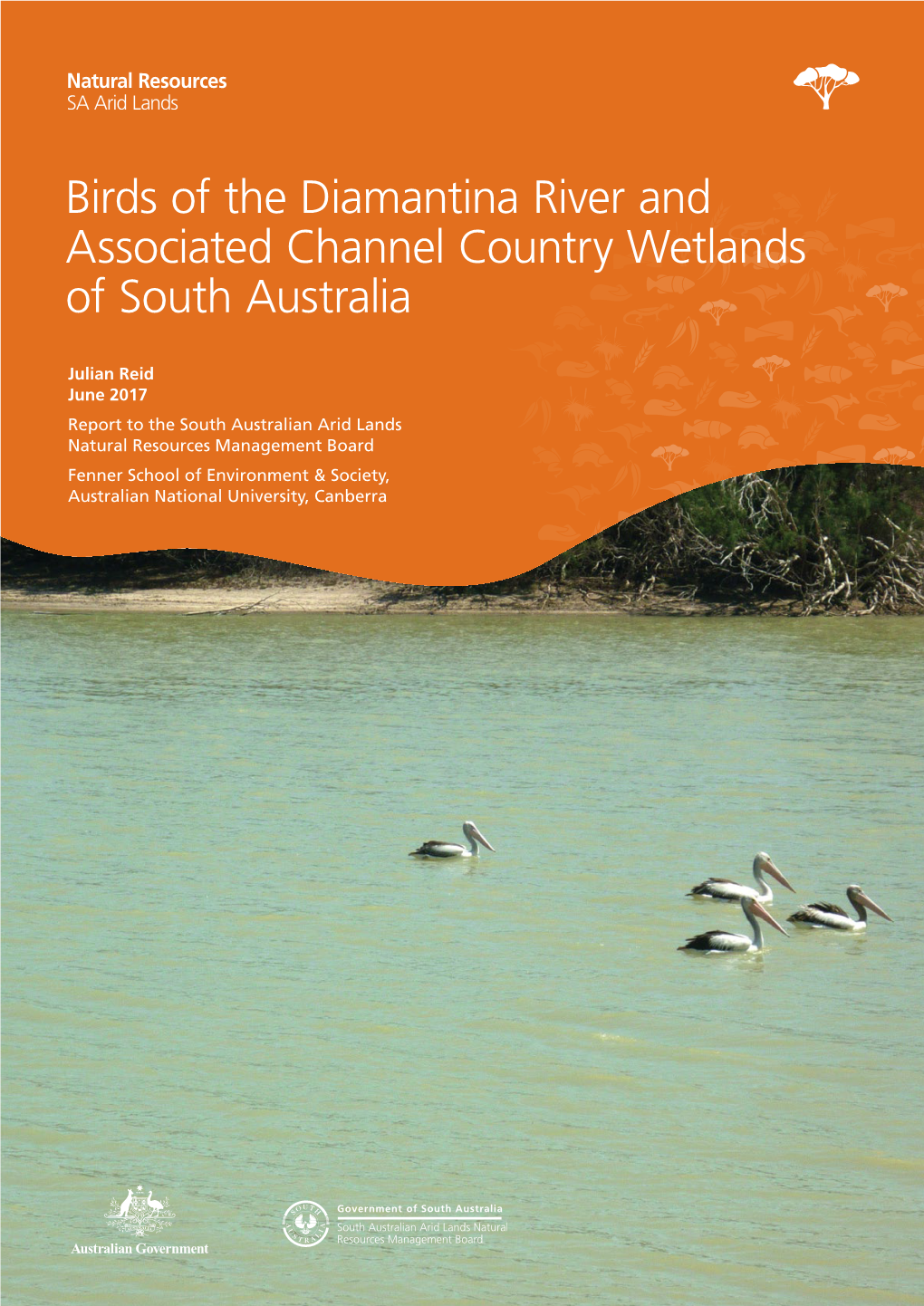 Birds of the Diamantina River and Associated Channel Country Wetlands of South Australia