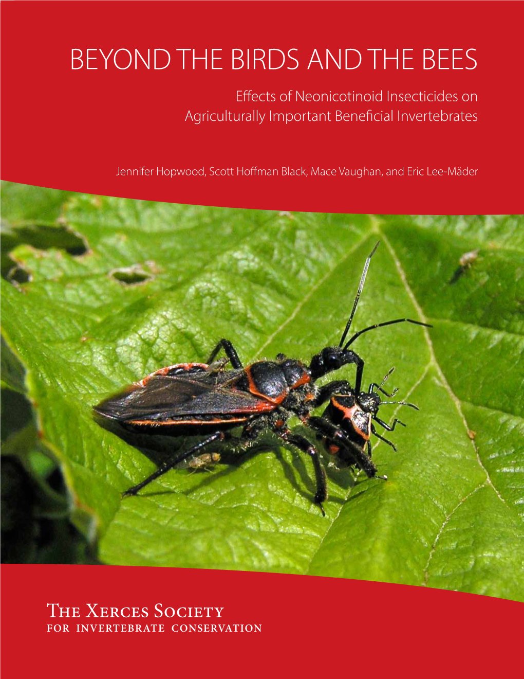 BEYOND the BIRDS and the BEES Efects of Neonicotinoid Insecticides on Agriculturally Important Benefcial Invertebrates