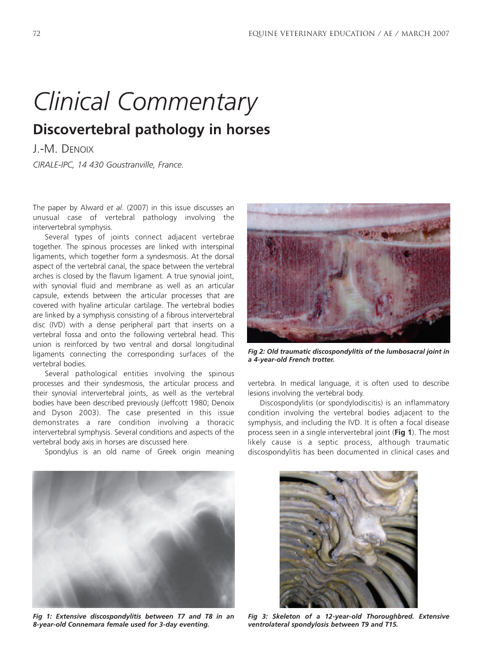 Clinical Commentary Discovertebral Pathology in Horses J.-M