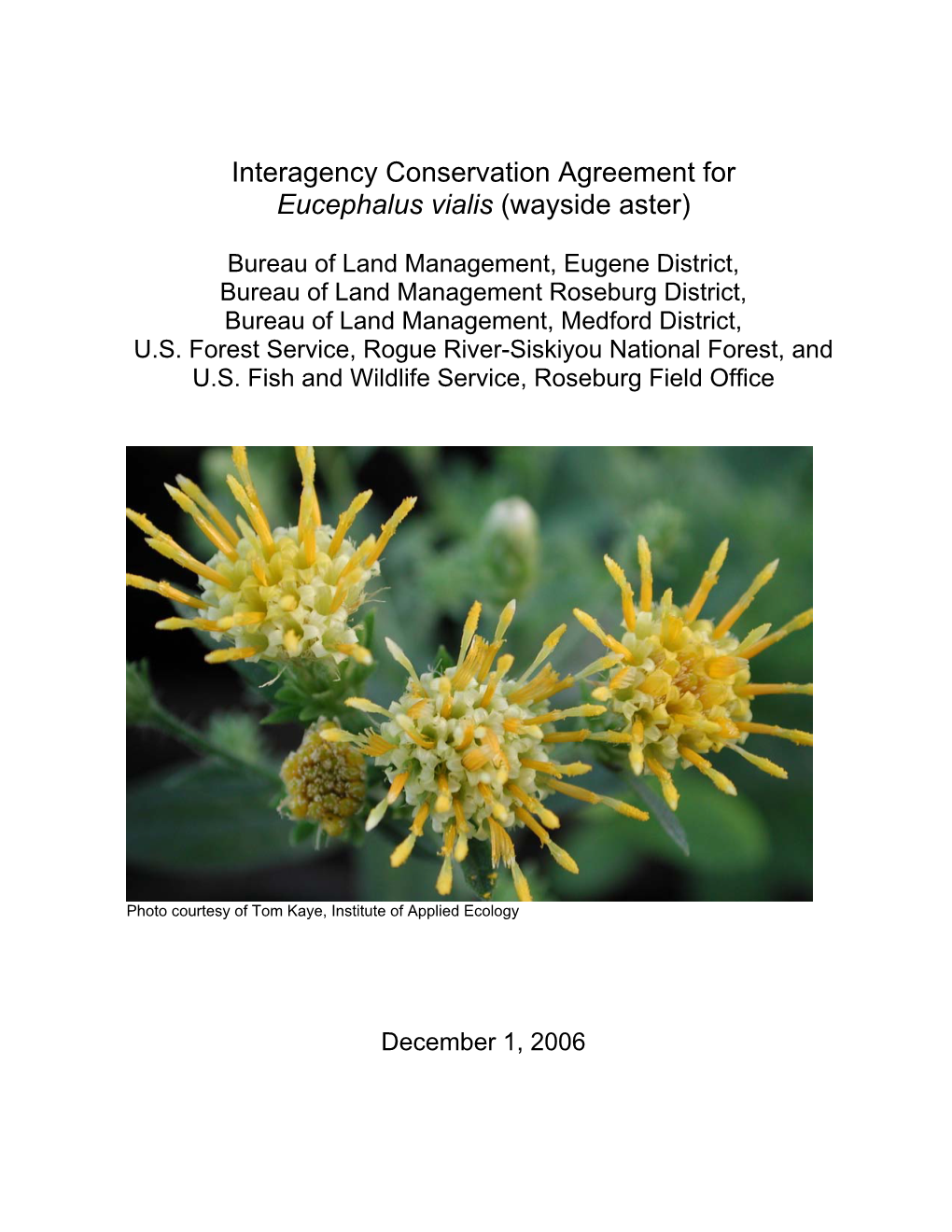 Interagency Conservation Agreement for Eucephalus Vialis (Wayside Aster)