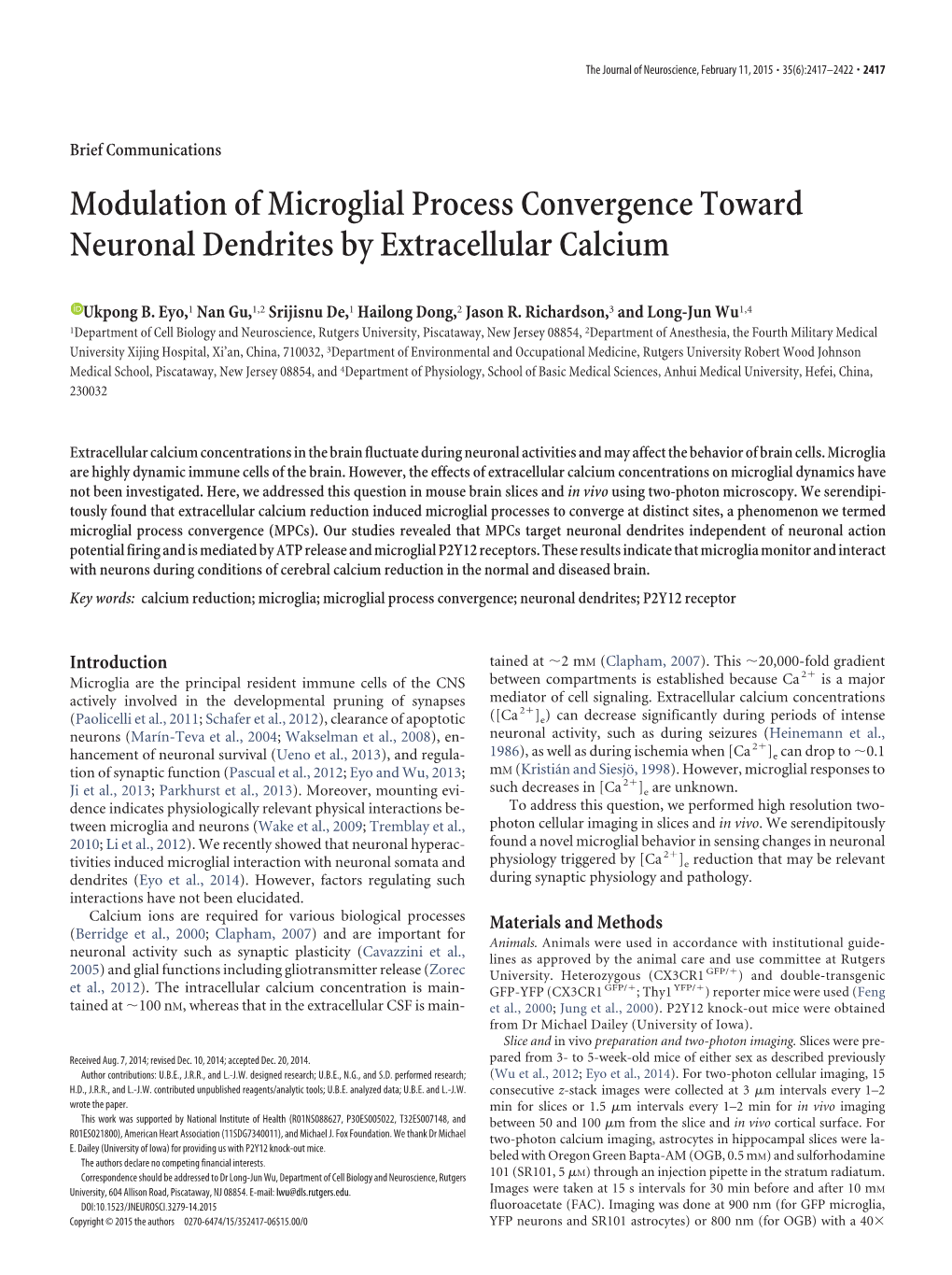 Modulation of Microglial Process Convergence Toward Neuronal Dendrites by Extracellular Calcium