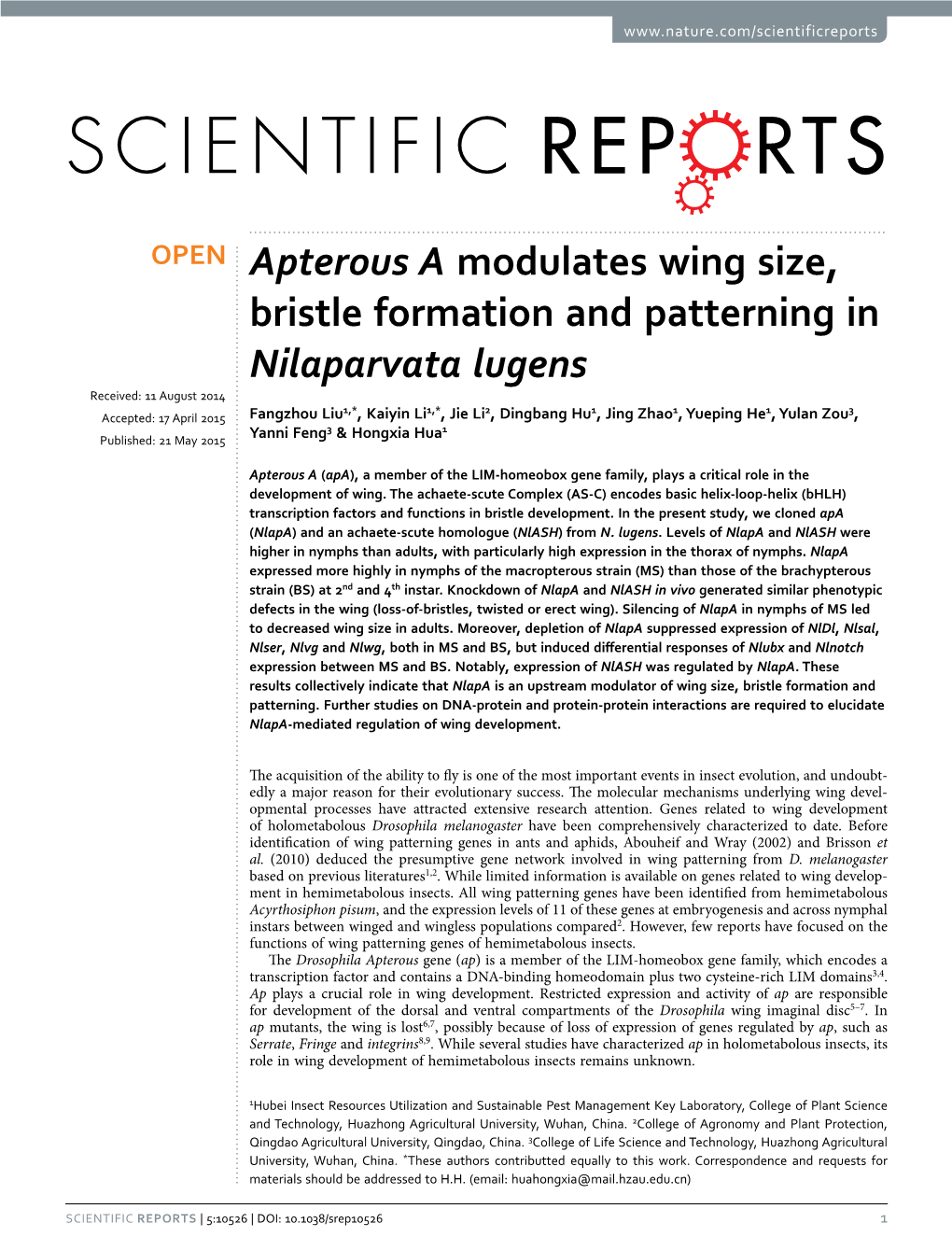 Apterous a Modulates Wing Size, Bristle Formation and Patterning in Nilaparvata Lugens