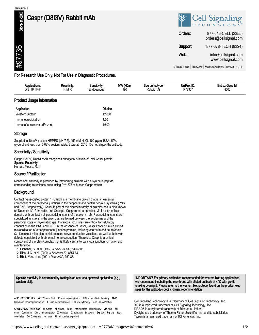 97736 Caspr (D8I3V) Rabbit Mab