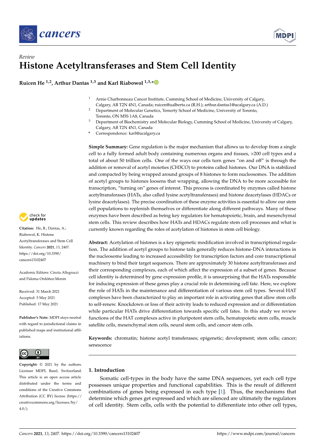 Histone Acetyltransferases and Stem Cell Identity