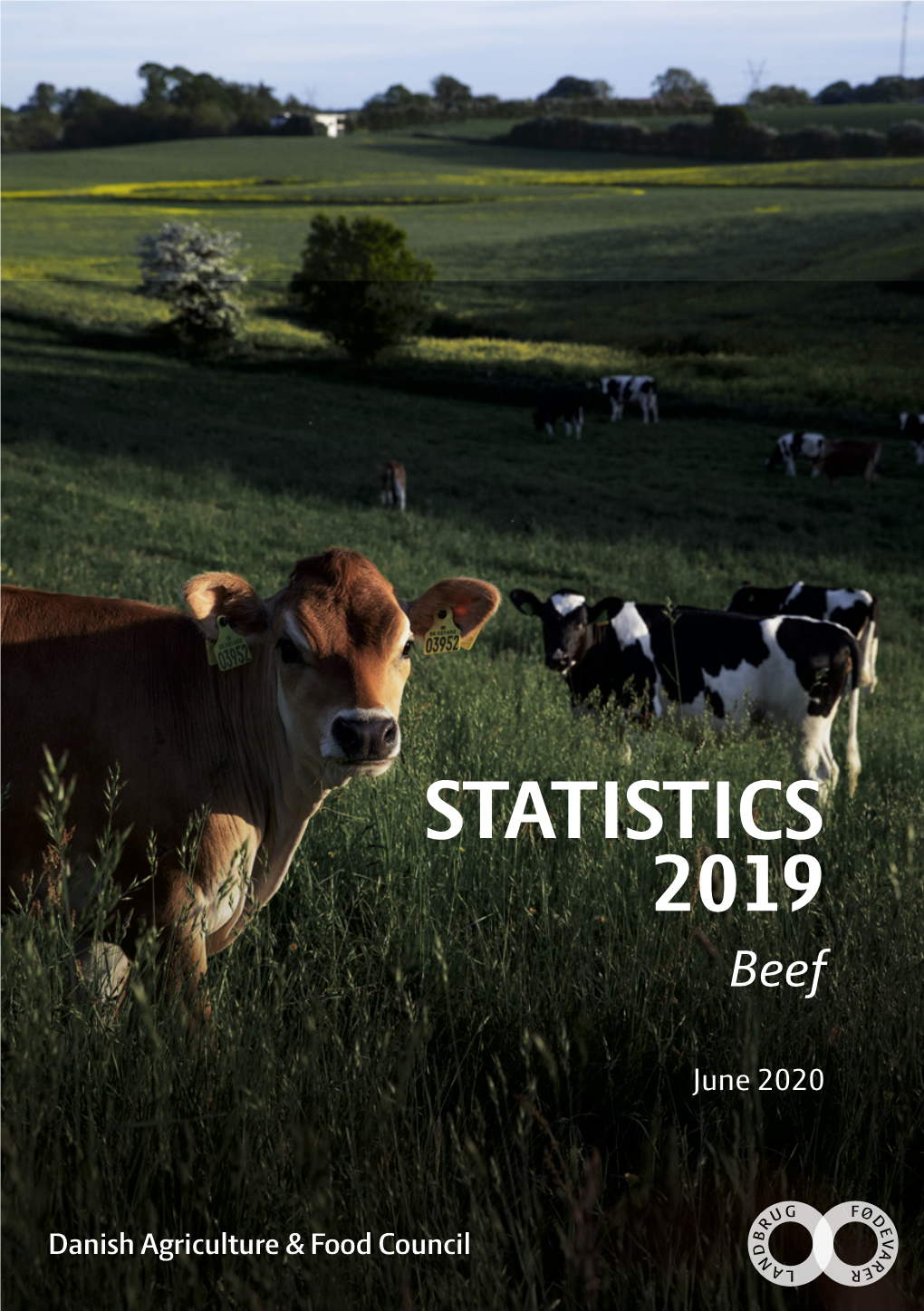 STATISTICS 2019 Beef