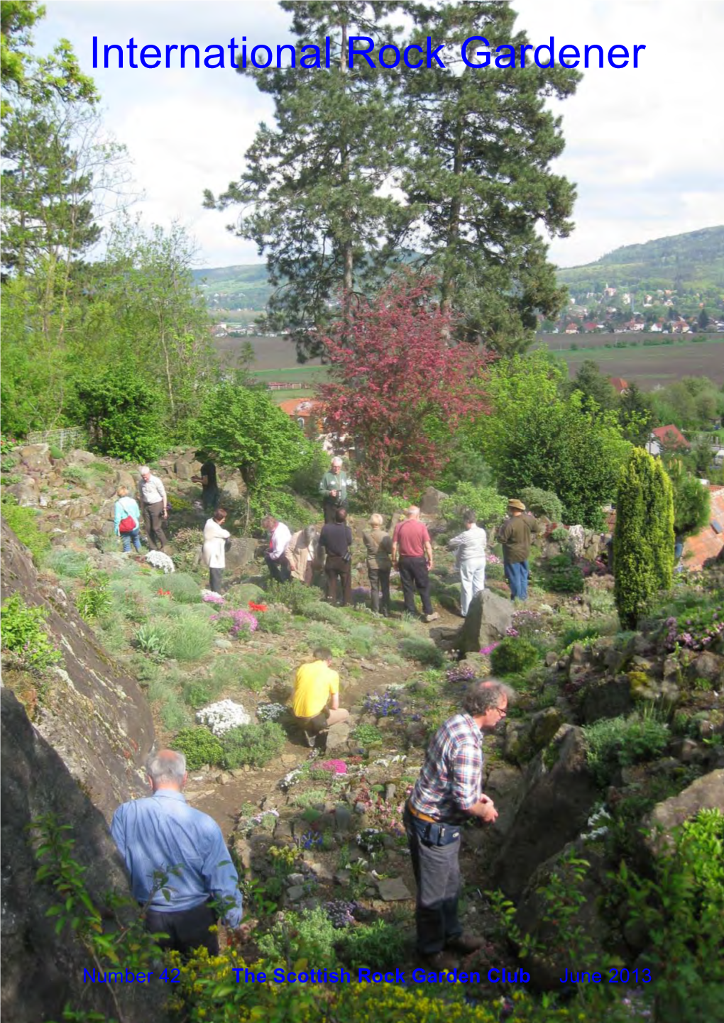 International Rock Gardener