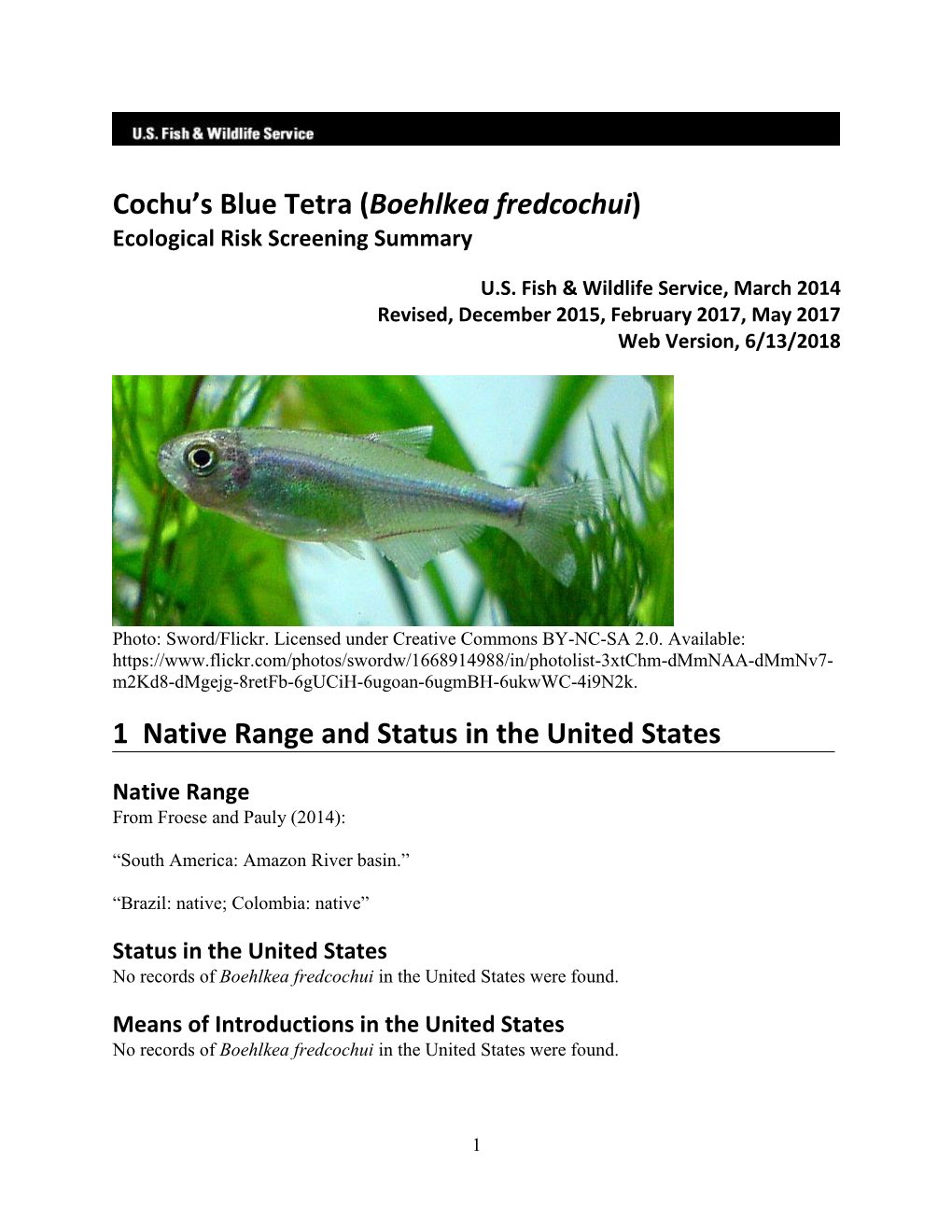 Boehlkea Fredcochui) Ecological Risk Screening Summary