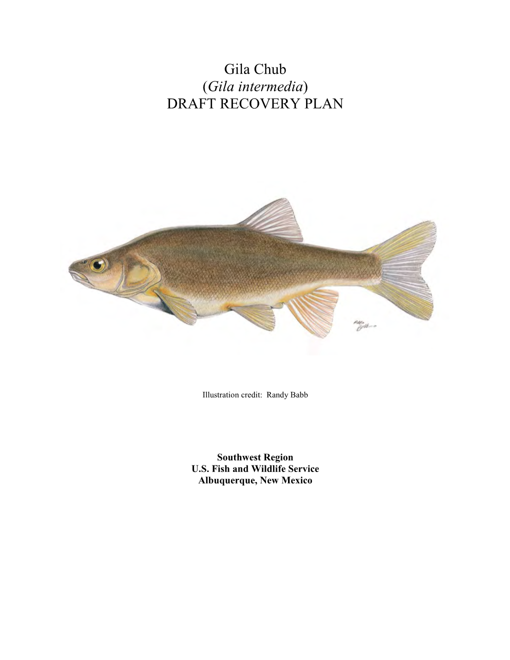 Gila Chub (Gila Intermedia) DRAFT RECOVERY PLAN