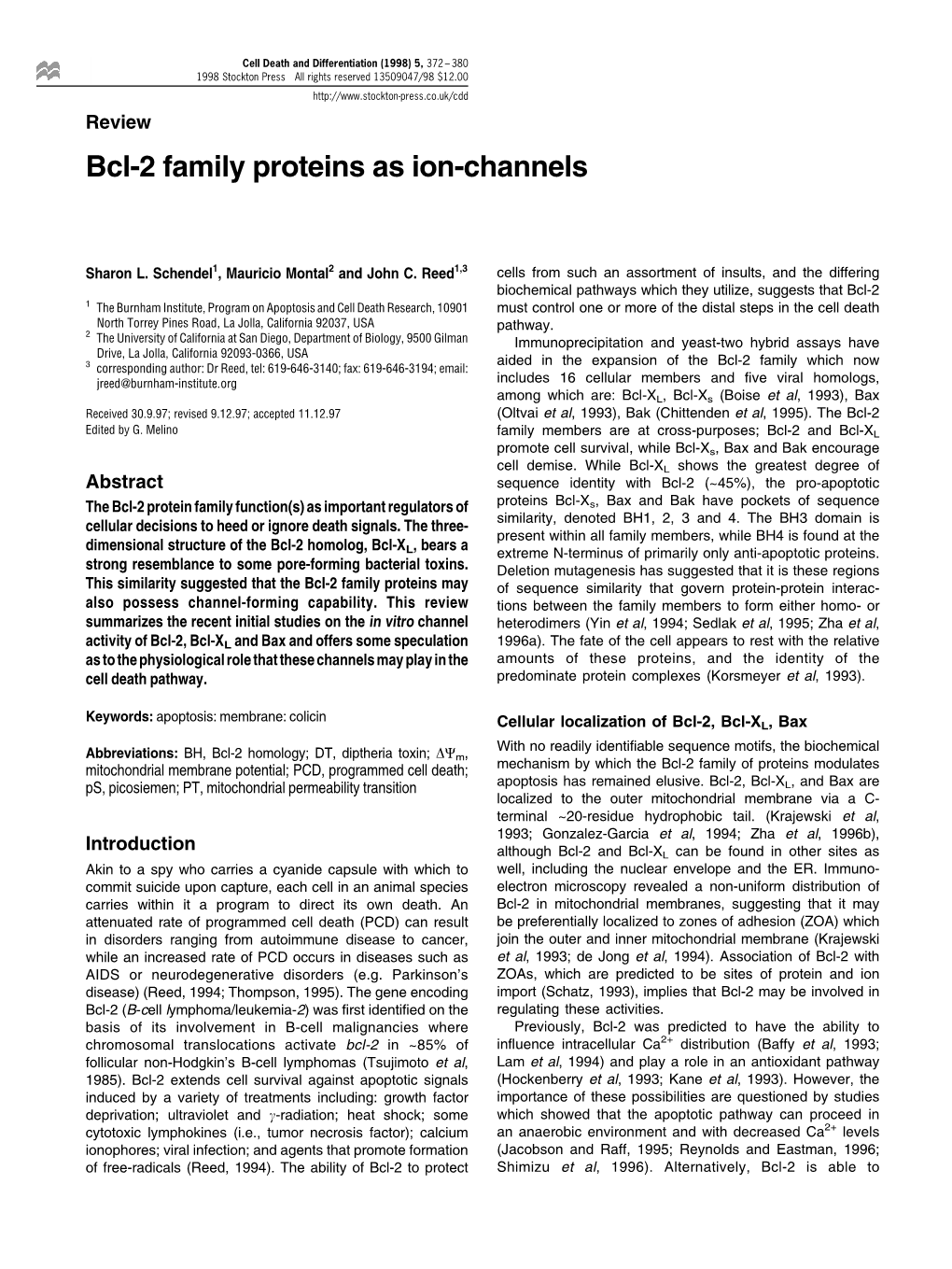 Bcl-2 Family Proteins As Ion-Channels