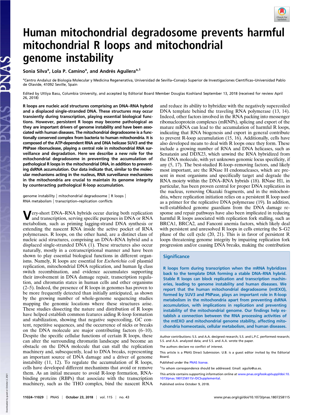 Human Mitochondrial Degradosome Prevents Harmful Mitochondrial R Loops and Mitochondrial Genome Instability