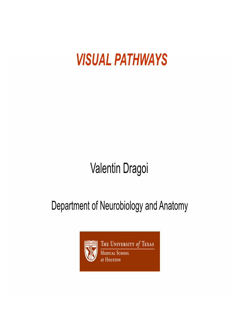 Visual Pathways