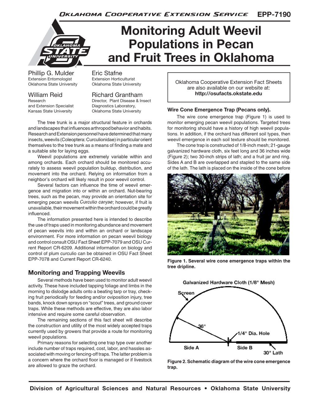 Monitoring Adult Weevil Populations in Pecan and Fruit Trees in Oklahoma Phillip G
