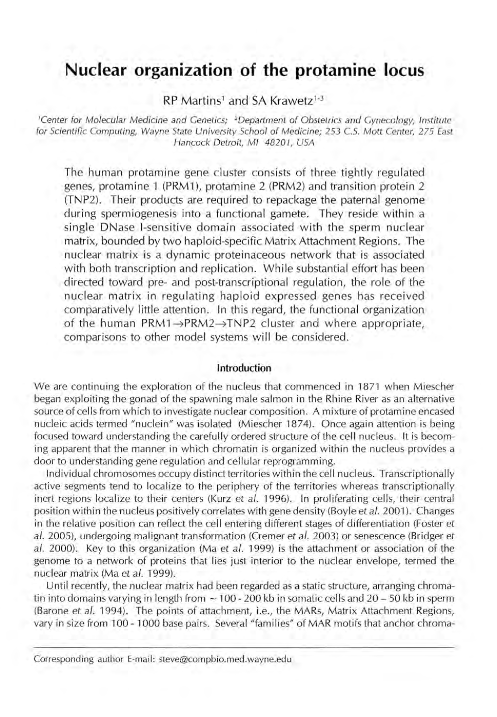 Nuclear Organization of the Protamine Locus