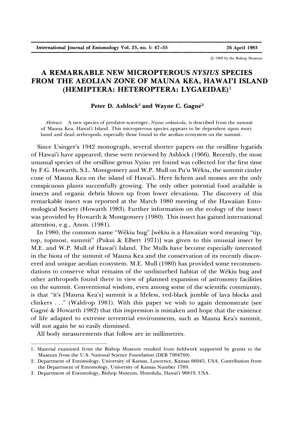 A Remarkable New Micropterous Nysius Species from the Aeolian Zone of Mauna Kea, Hawai'i Island (Hemiptera: Heteroptera: Lygaeidae)1