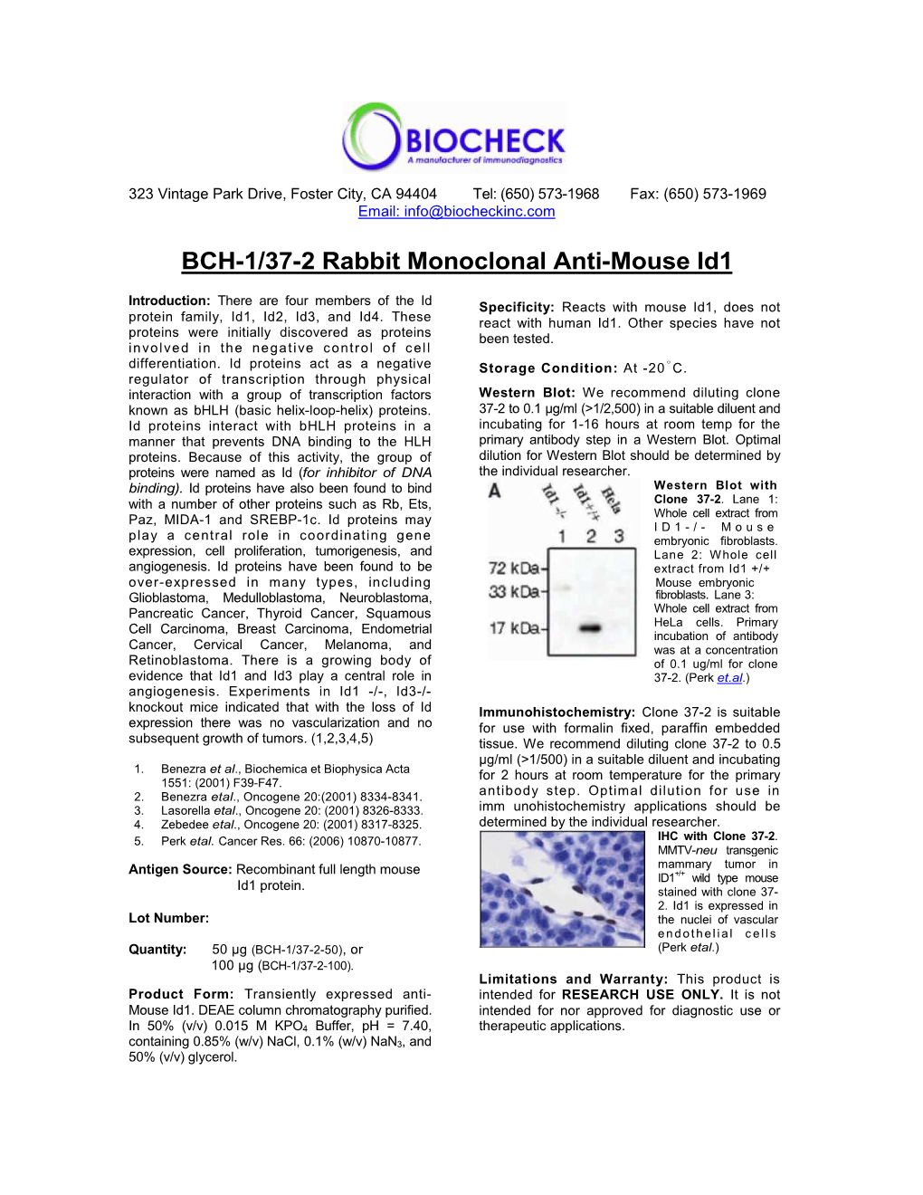 BCH-1/37-2 Rabbit Monoclonal Anti-Mouse Id1