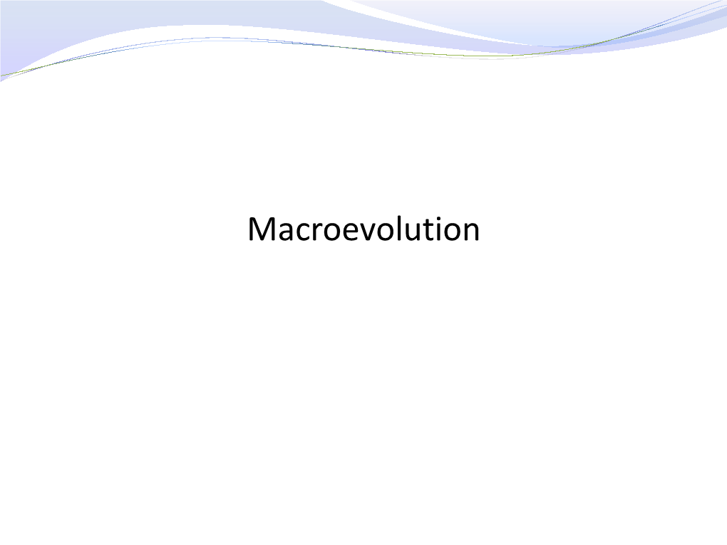 Macroevolution Macroevolution - Definition